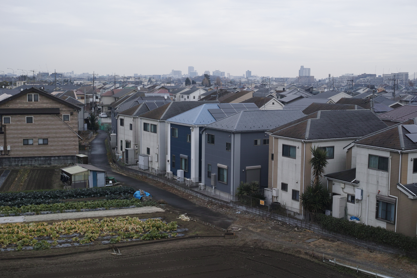 Shiraitodai, Inadazutsumi, Chofu_Img