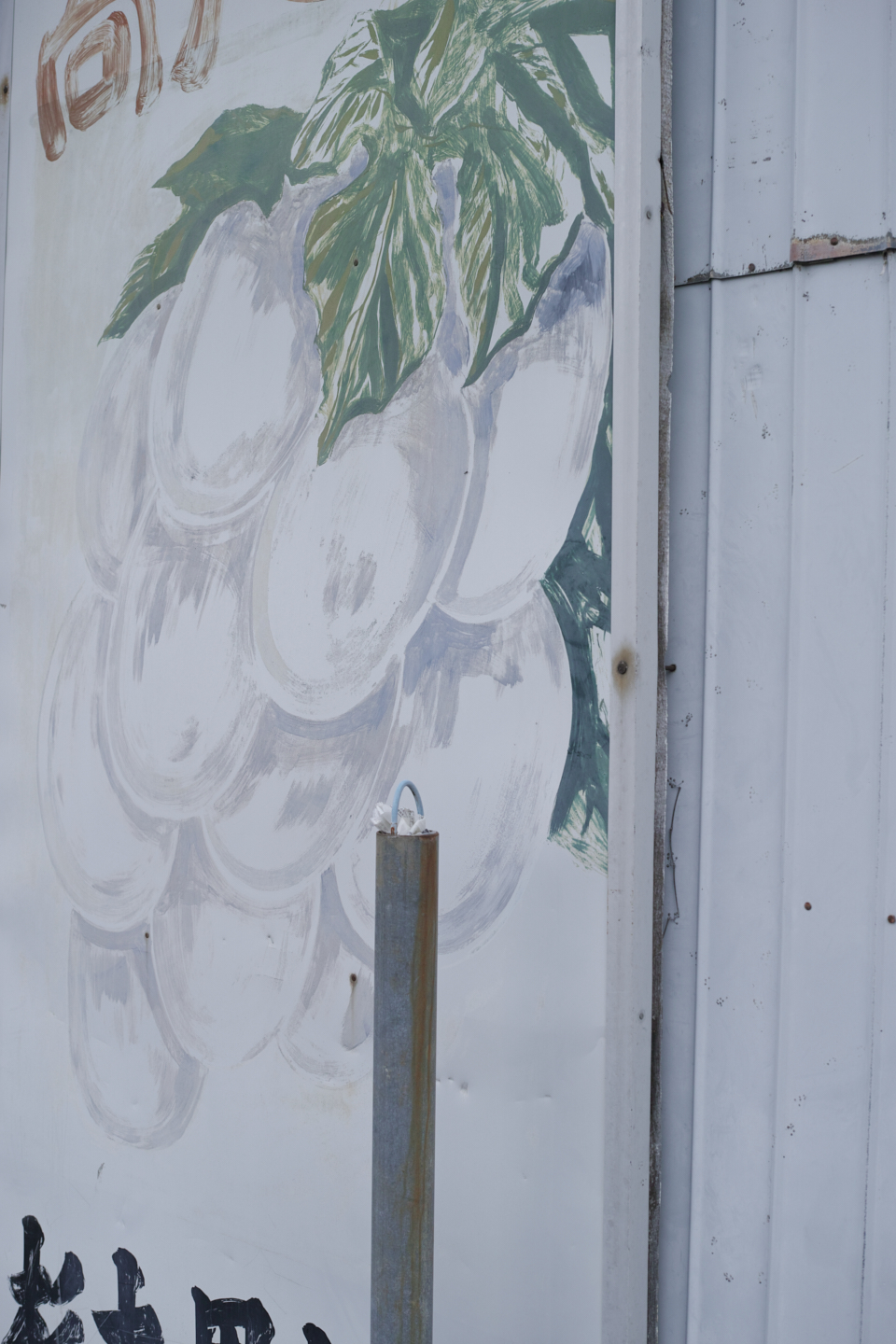 Shiraitodai, Inadazutsumi, Chofu_Img