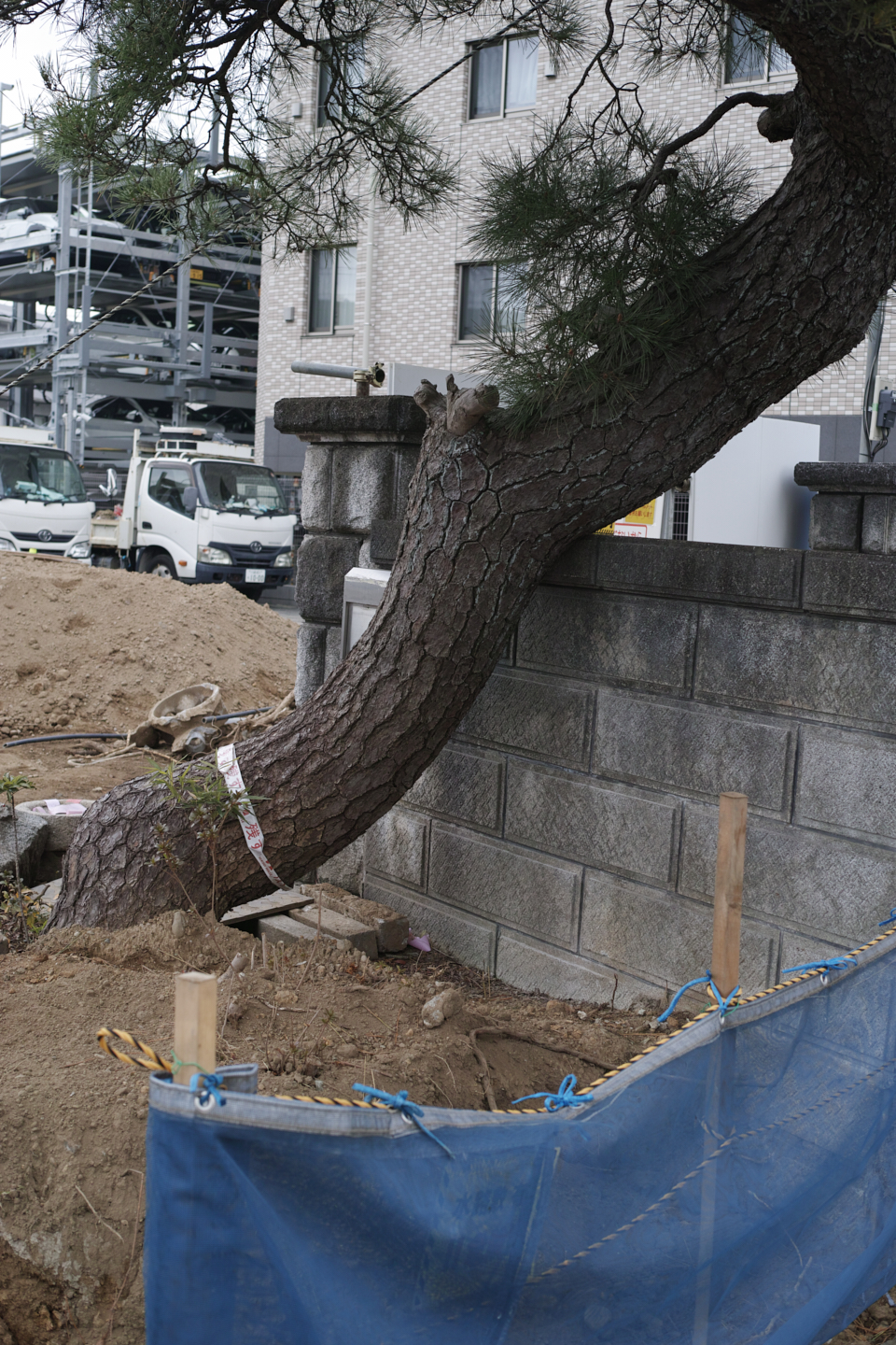 Shiraitodai, Inadazutsumi, Chofu_Img