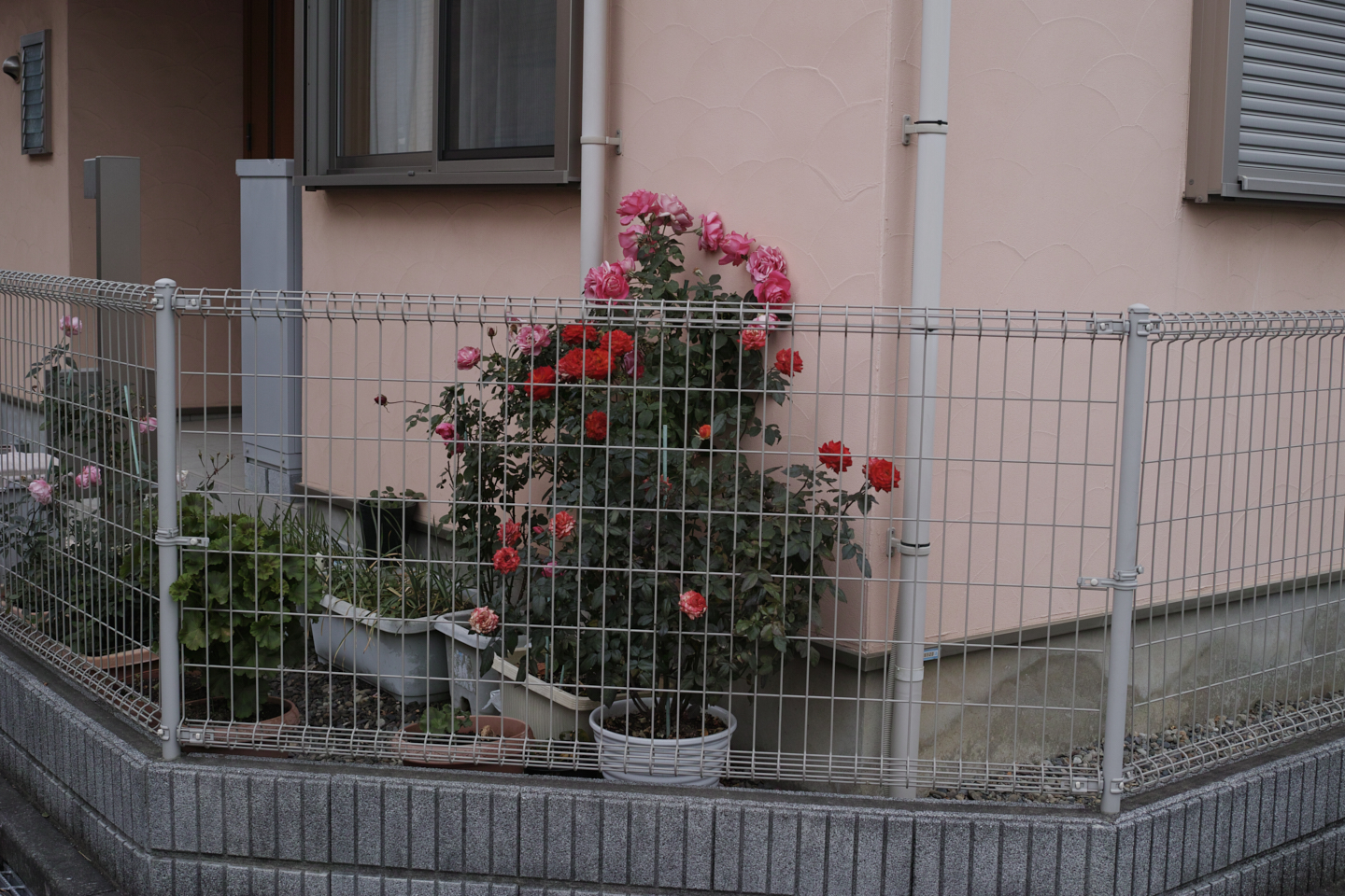 Shiraitodai, Inadazutsumi, Chofu_Img