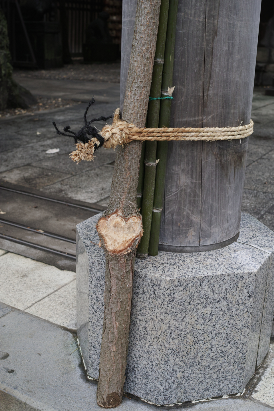 Mukojima, Hikifune, Tateishi, Shibuya_Img