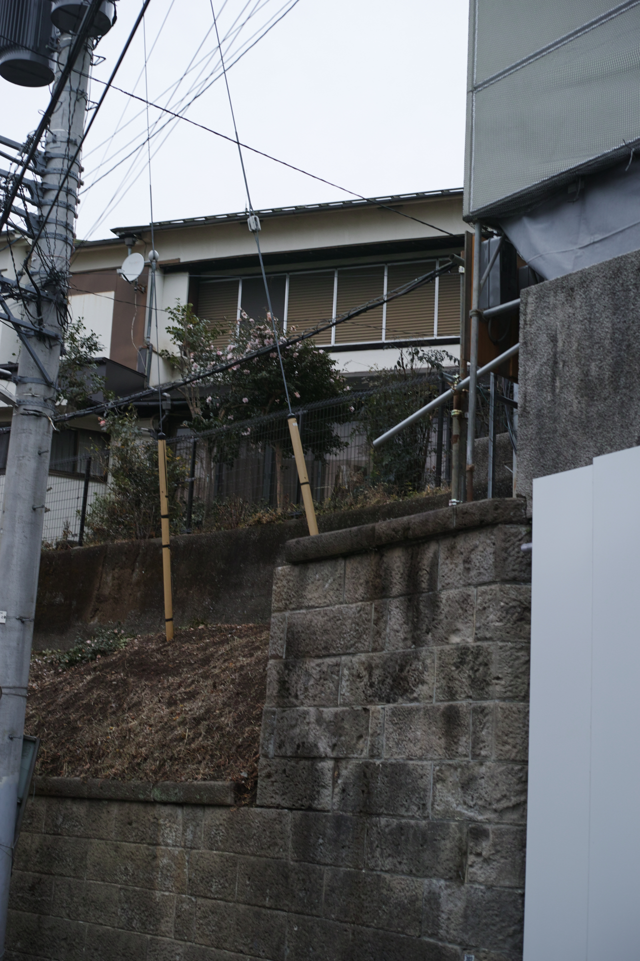 Mukojima, Hikifune, Tateishi, Shibuya_Img