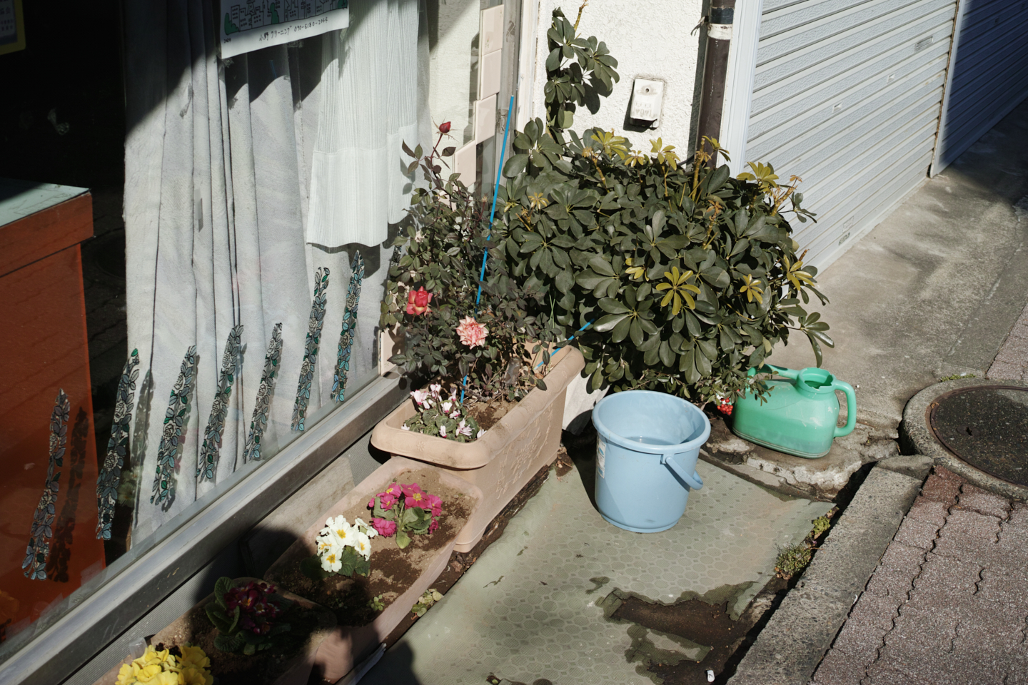 Nerima, Tokiwadai, Oyama, Ikebukuro_Img