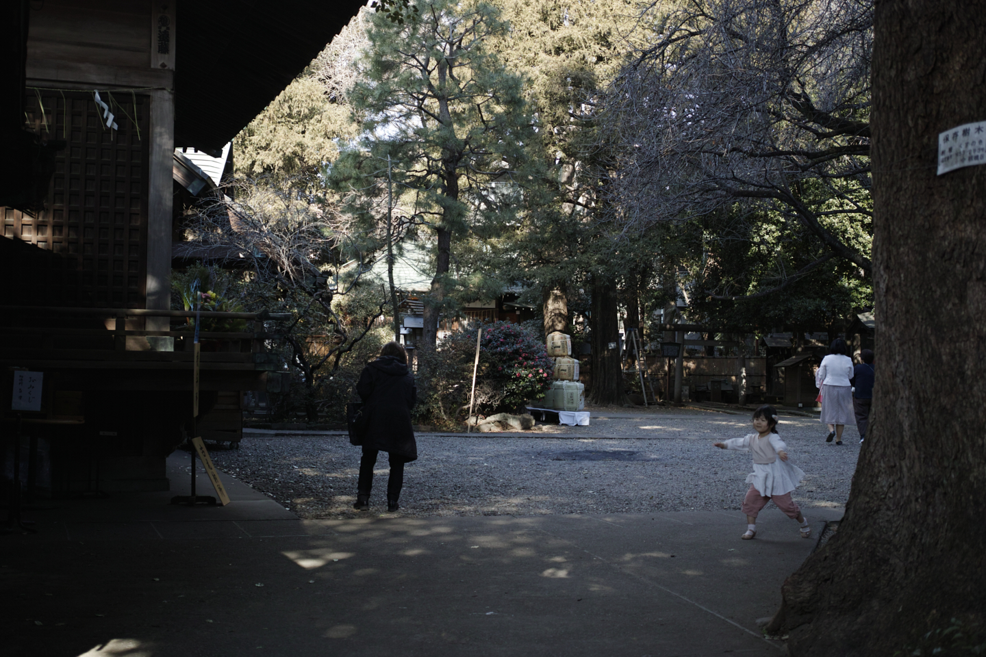 Nerima, Tokiwadai, Oyama, Ikebukuro_Img