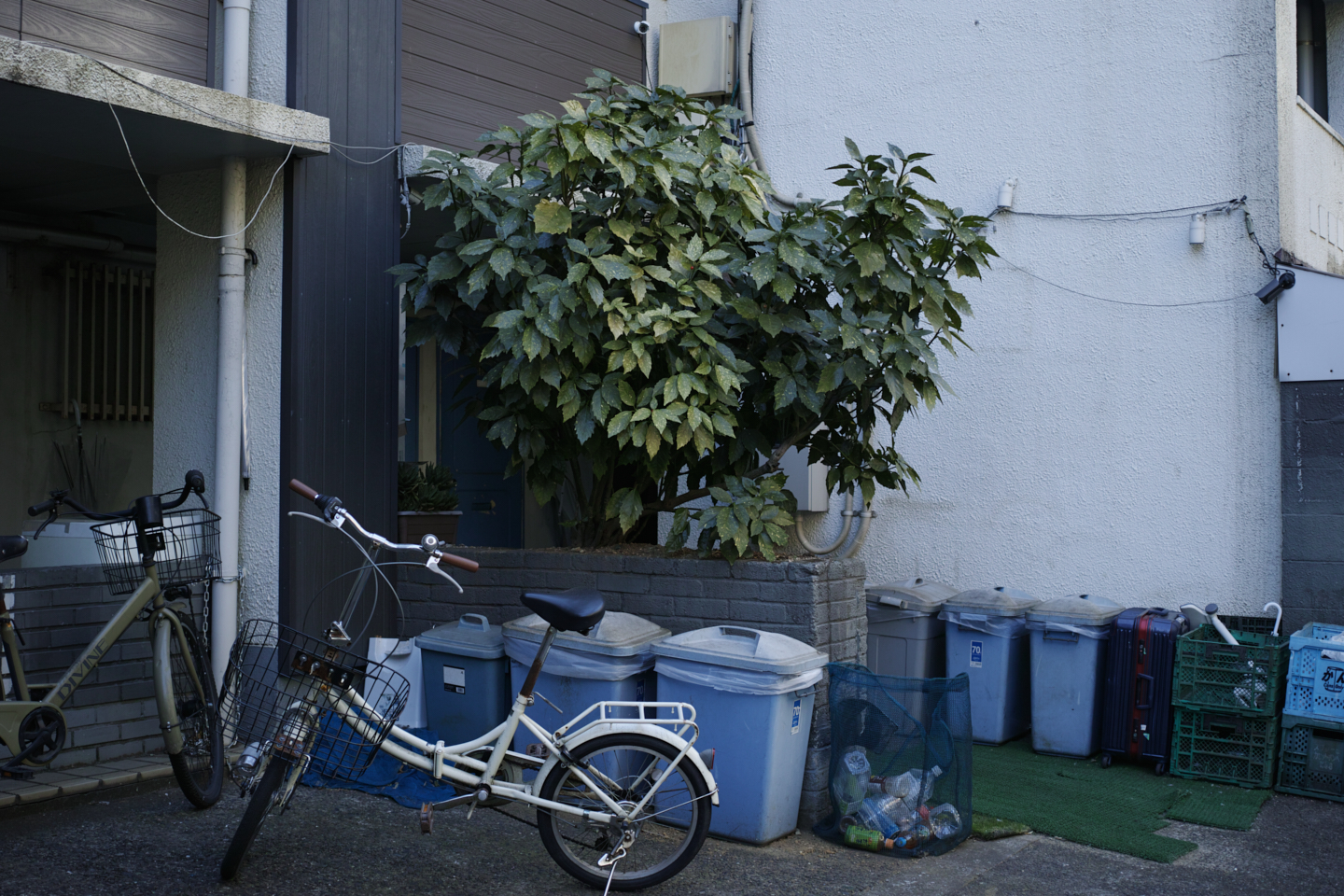 Jimbocho, Suidobashi, Shinjuku, Okubo_Img