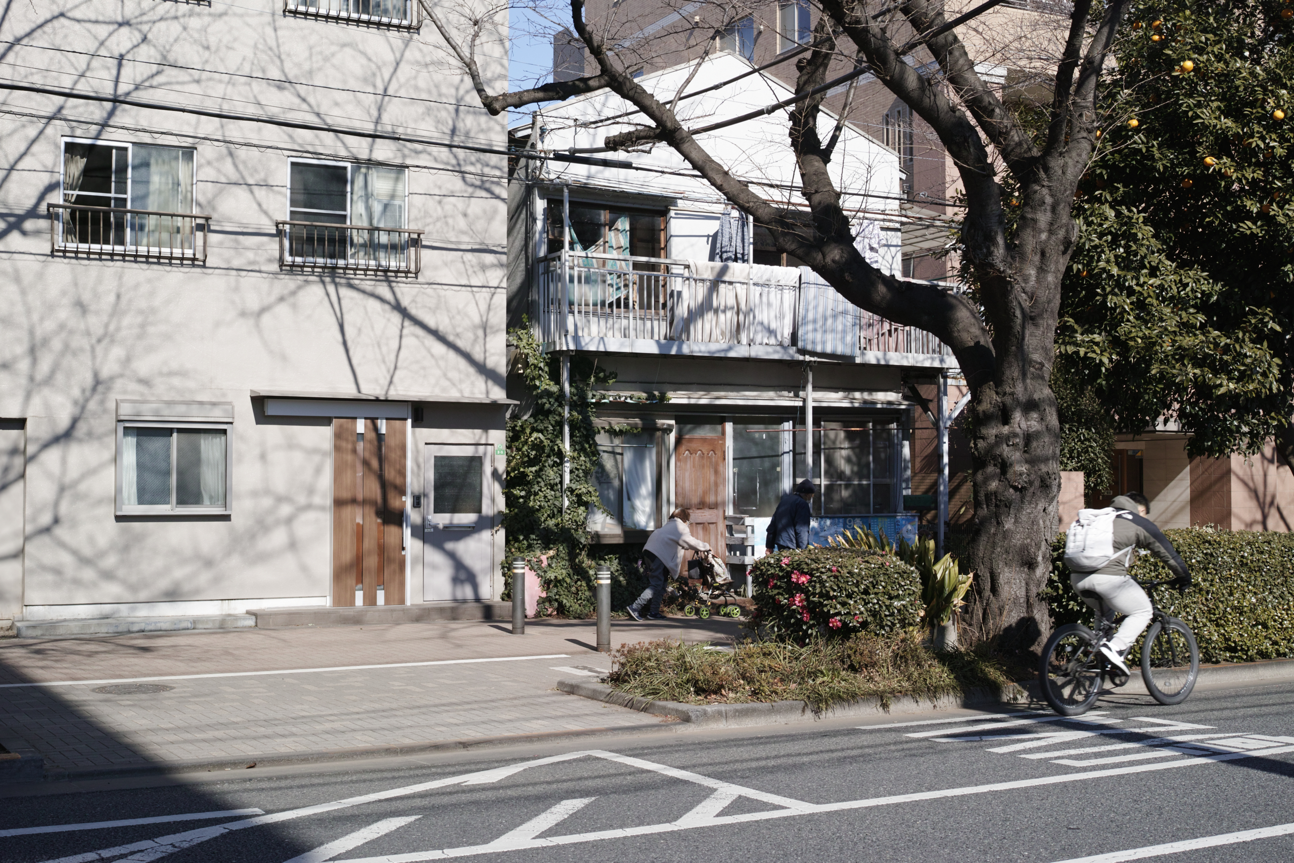Nerima, Tokiwadai, Oyama, Ikebukuro_Img