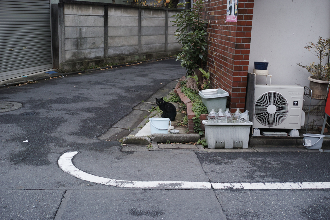 Mukojima, Hikifune, Tateishi, Shibuya_Img