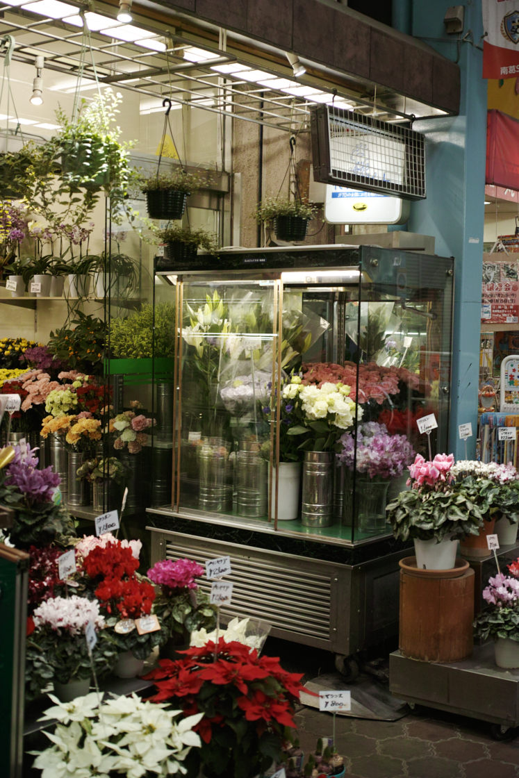 Mukojima, Hikifune, Tateishi, Shibuya_Img