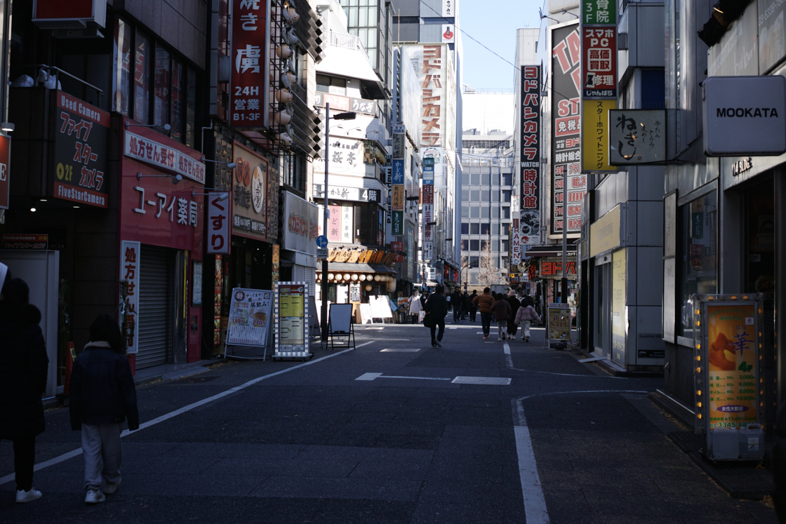 Shinjuku, Ueno, Nezu_Img