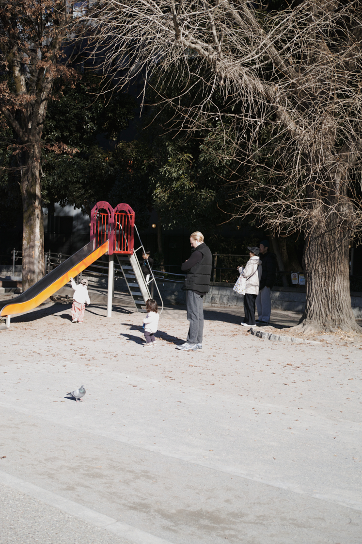 Shinjuku, Ueno, Nezu_Img