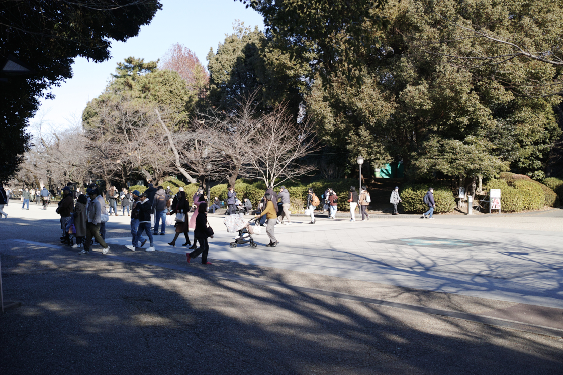 Shinjuku, Ueno, Nezu_Img