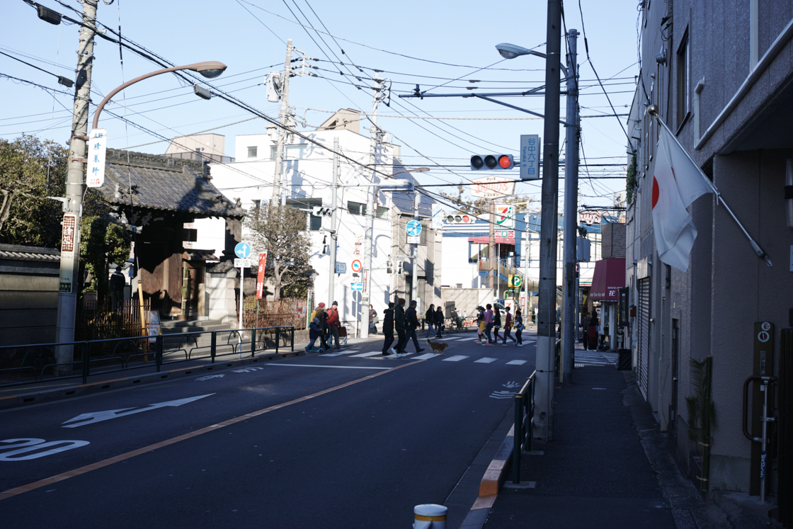 Shinjuku, Ueno, Nezu_Img