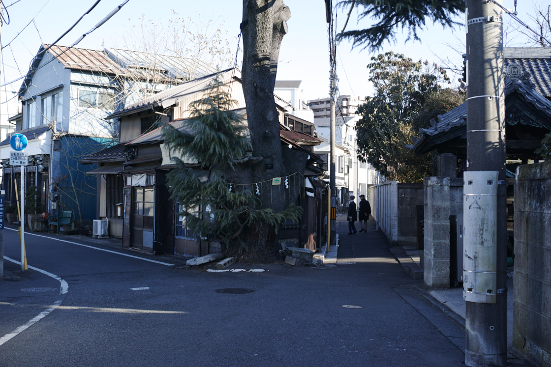 Shinjuku, Ueno, Nezu_Img