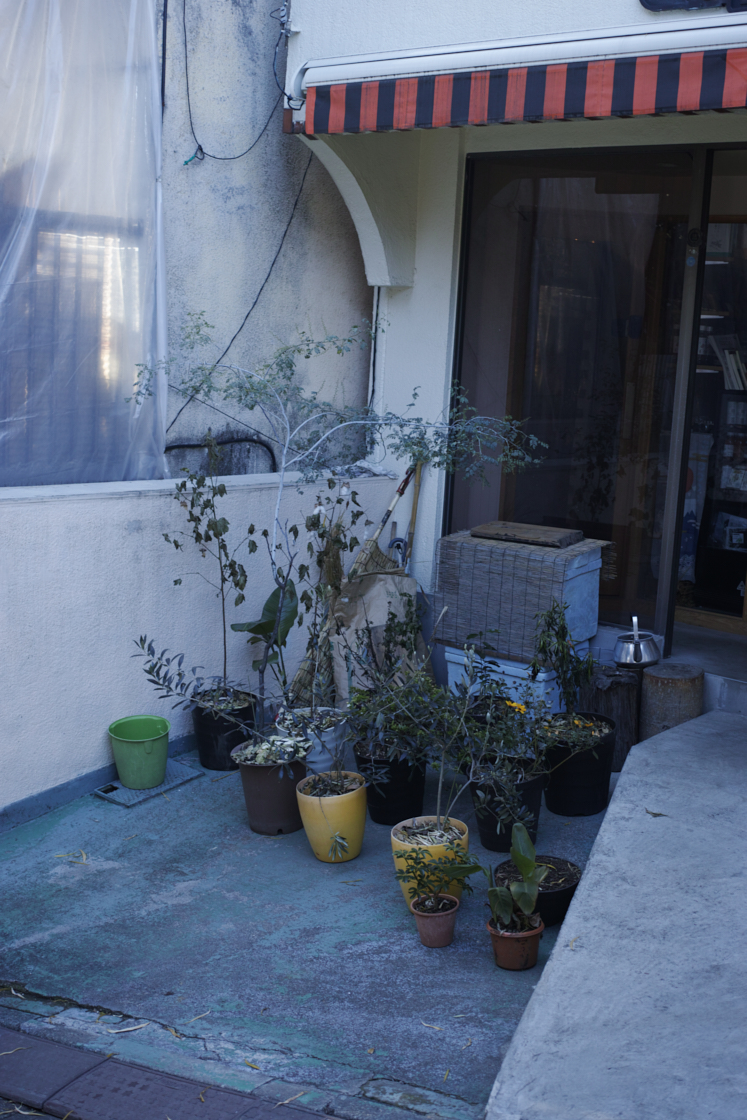 Shinjuku, Ueno, Nezu_Img