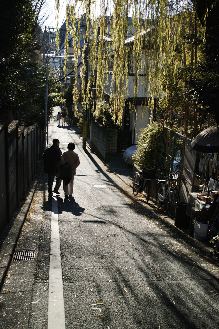 Shinjuku, Ueno, Nezu_Img