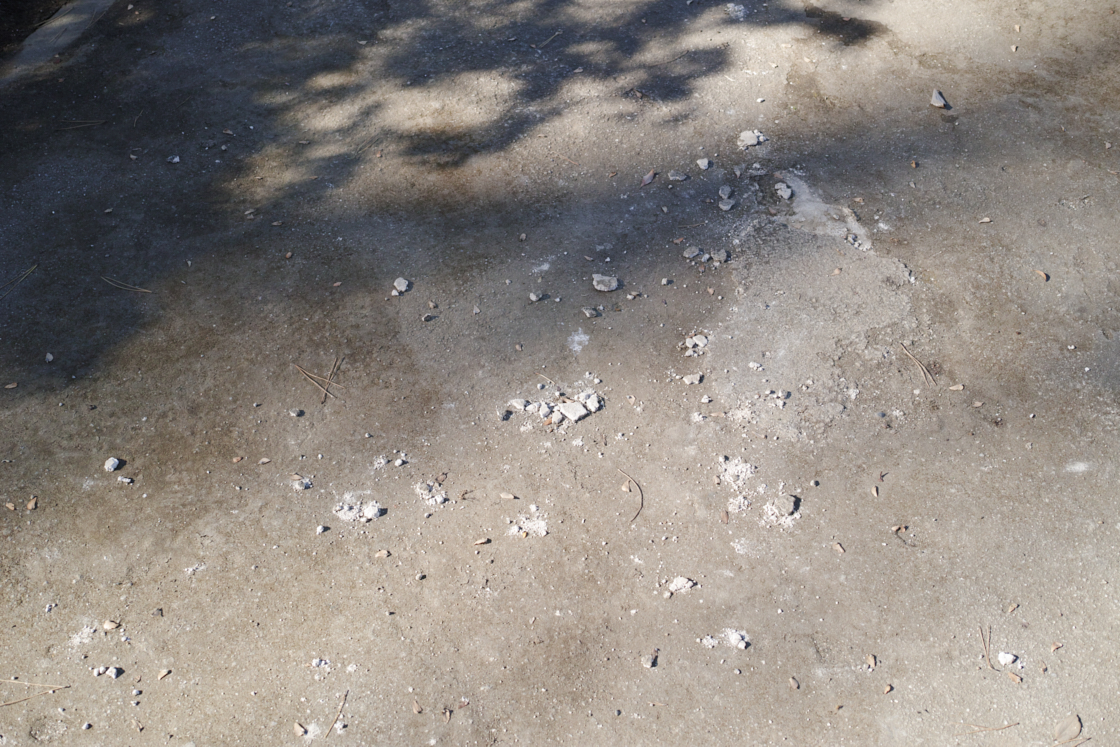 Chitose-Karasuyama, Nakano-Fujimicho_Img