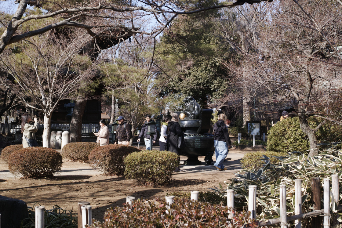 Gotokuji, Shimo-Kitazawa, Yoyogi-Hachiman_Img