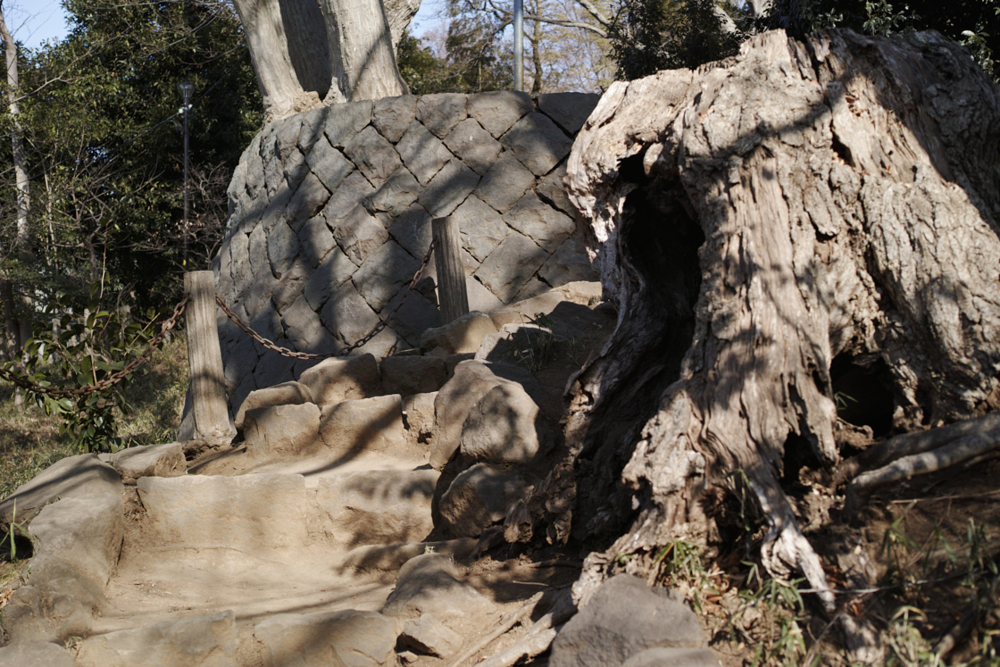 Gotokuji, Shimo-Kitazawa, Yoyogi-Hachiman_Img