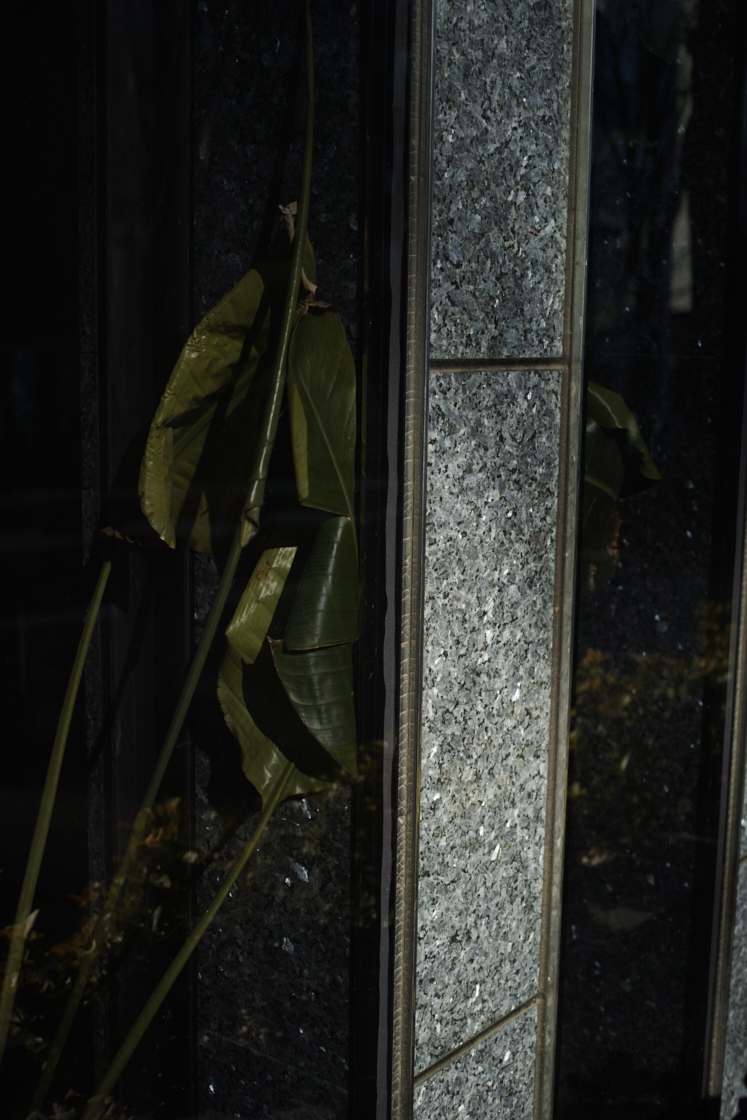 Gotokuji, Shimo-Kitazawa, Yoyogi-Hachiman_Img