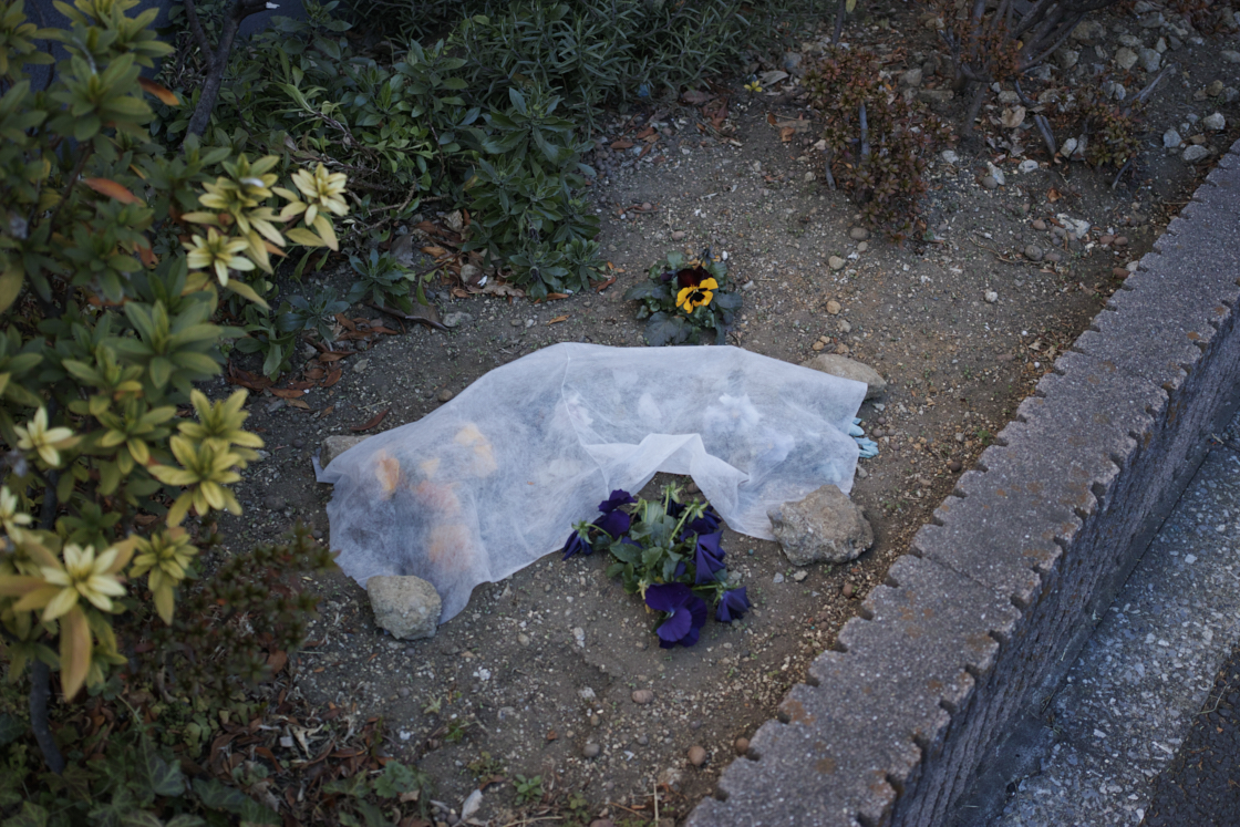 Nerima, Tokiwadai, Oyama, Ikebukuro_Img