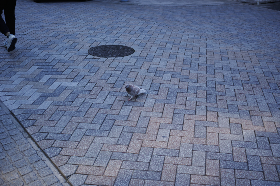 Jimbocho, Suidobashi, Shinjuku, Okubo_Img