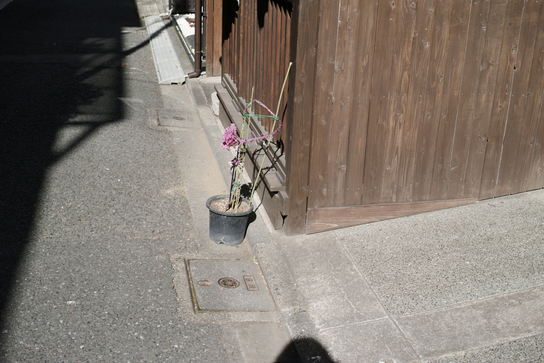 Jimbocho, Suidobashi, Shinjuku, Okubo_Img