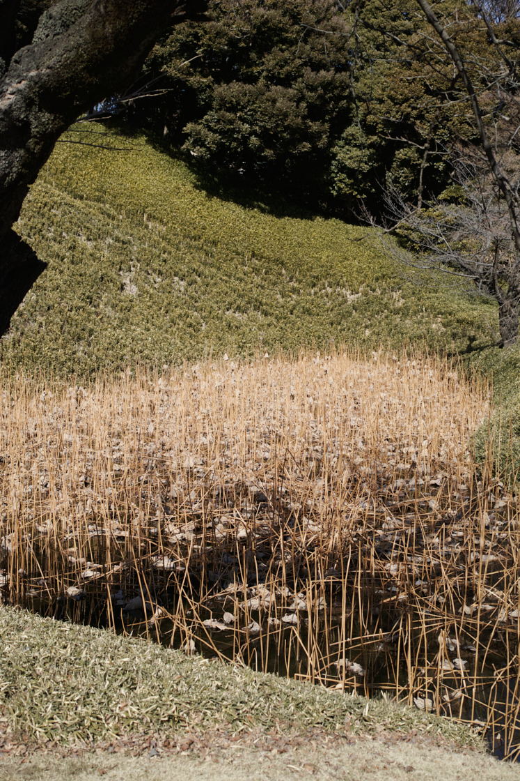 Jimbocho, Suidobashi, Shinjuku, Okubo_Img