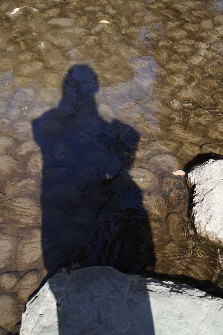 Jimbocho, Suidobashi, Shinjuku, Okubo_Img