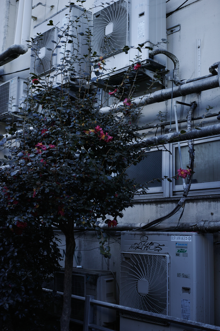 Jimbocho, Suidobashi, Shinjuku, Okubo_Img