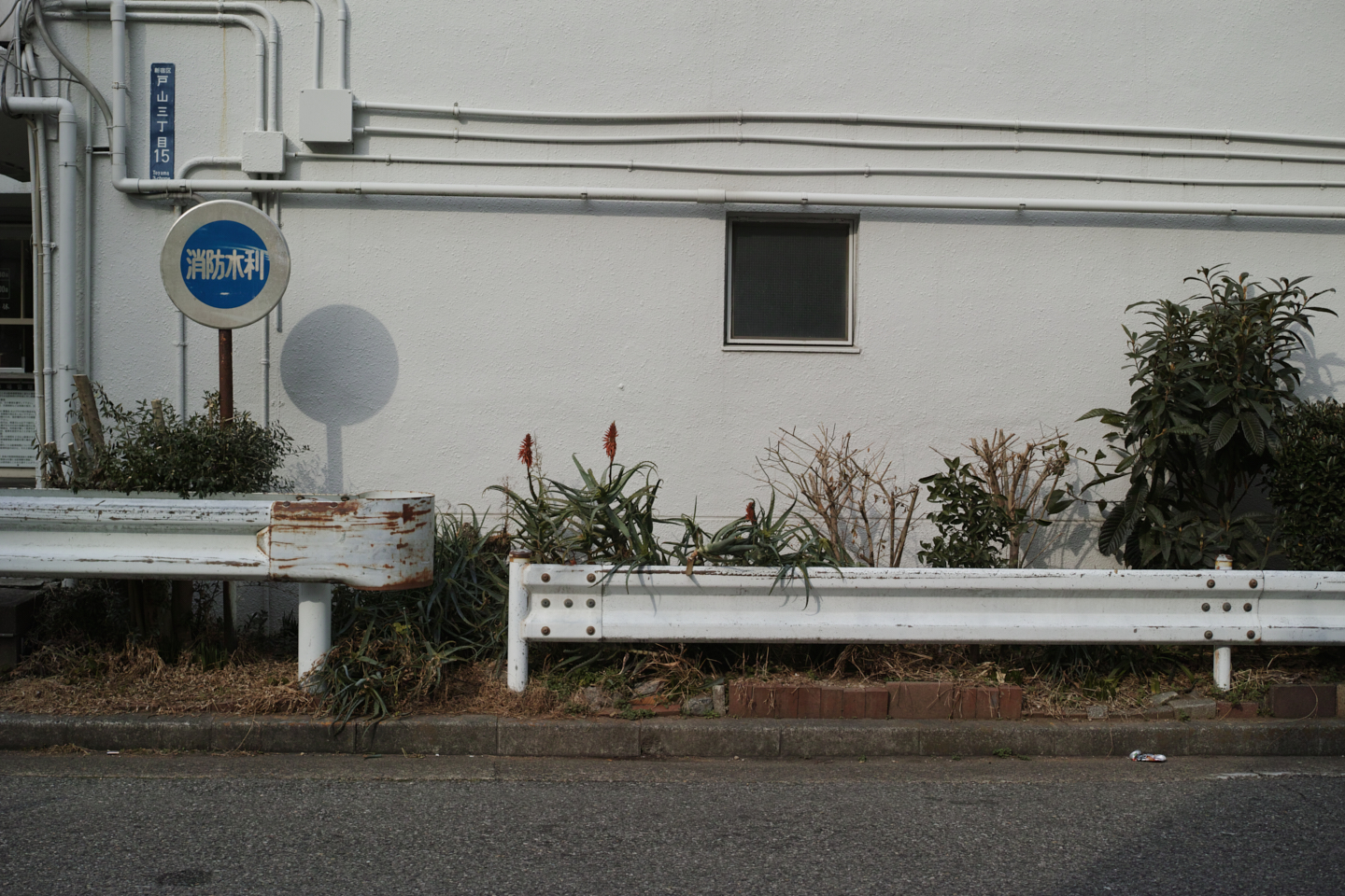 Asagaya, Waseda_Img