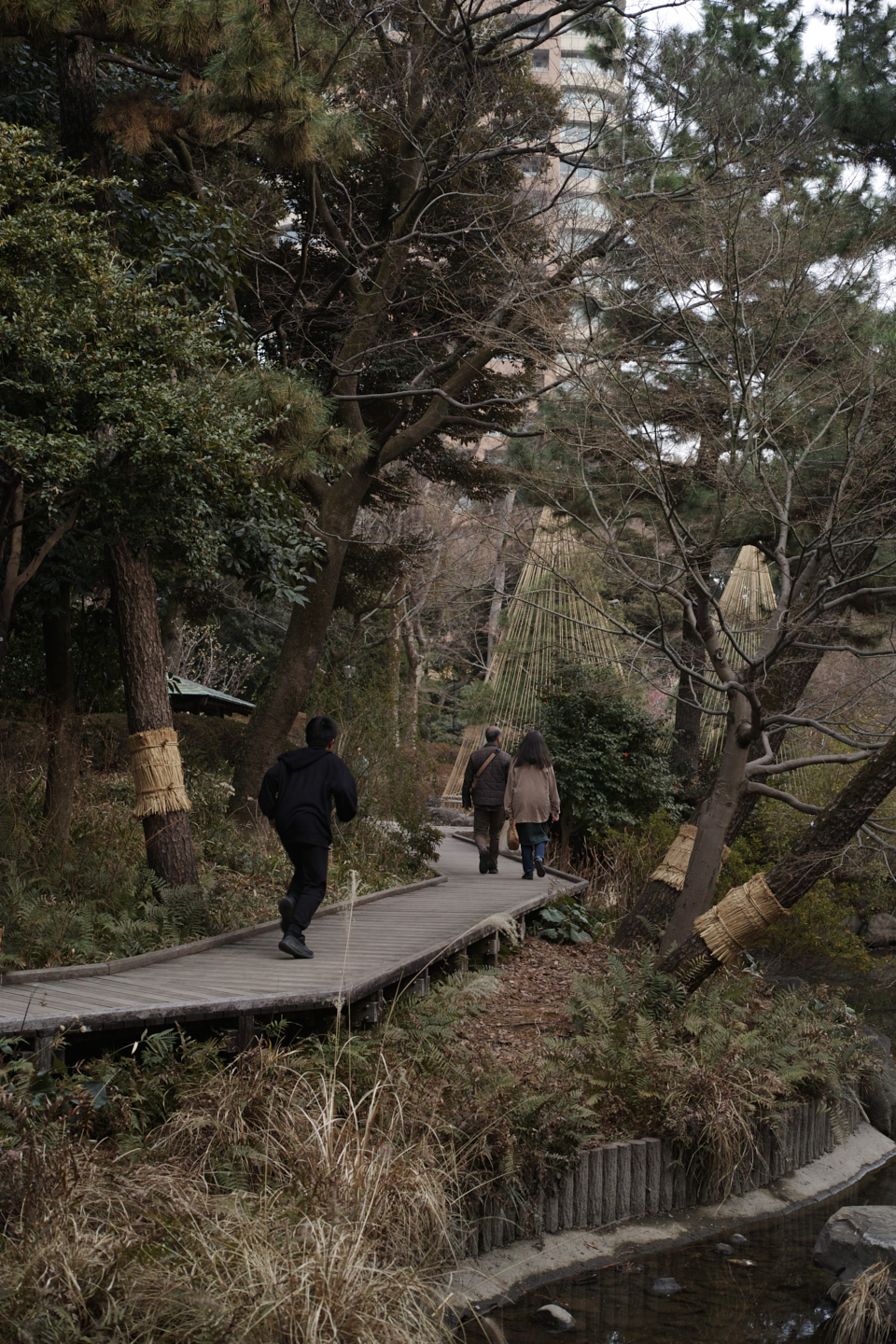 Asagaya, Waseda_Img