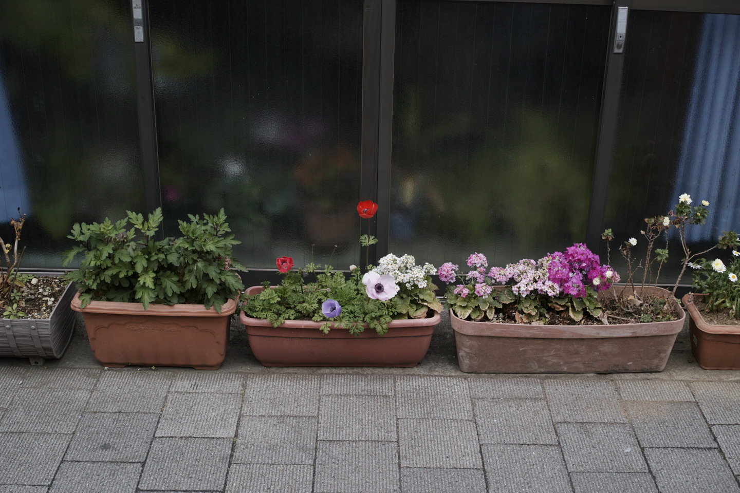 Asagaya, Waseda_Img