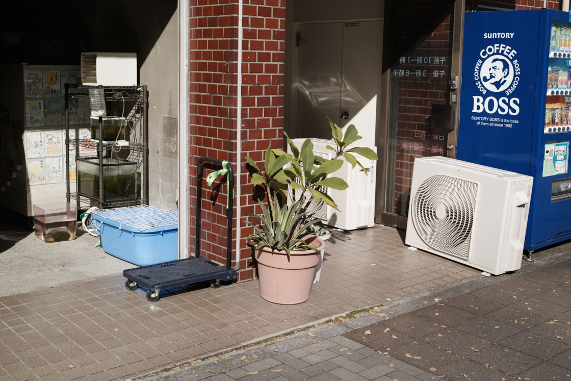 Kachidoki, Roppongi, Shinjuku_Img