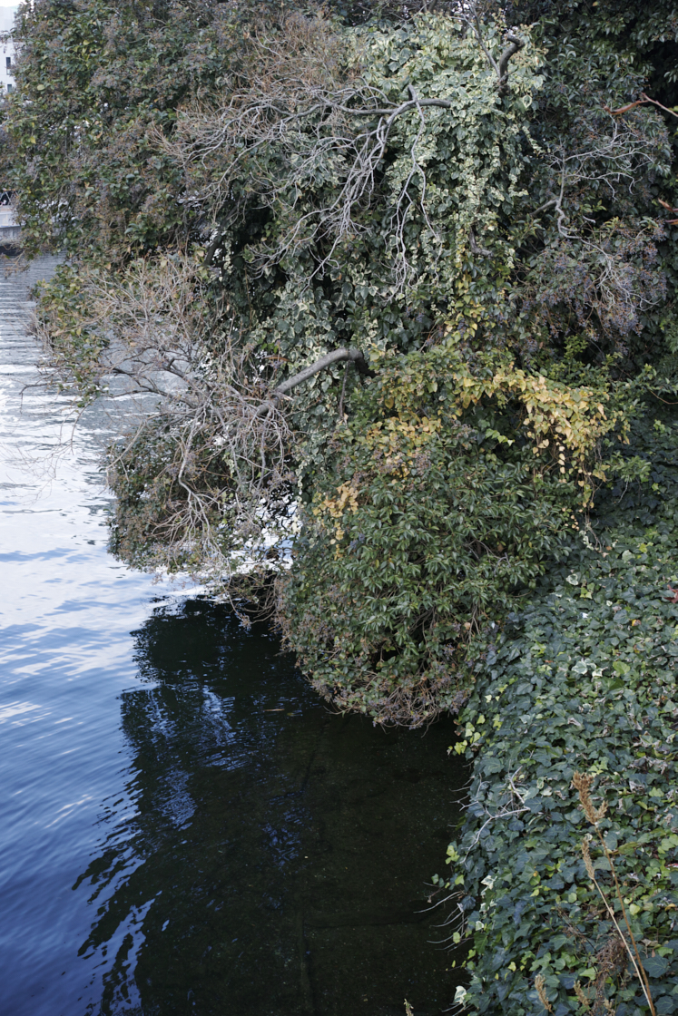 Kachidoki, Roppongi, Shinjuku_Img