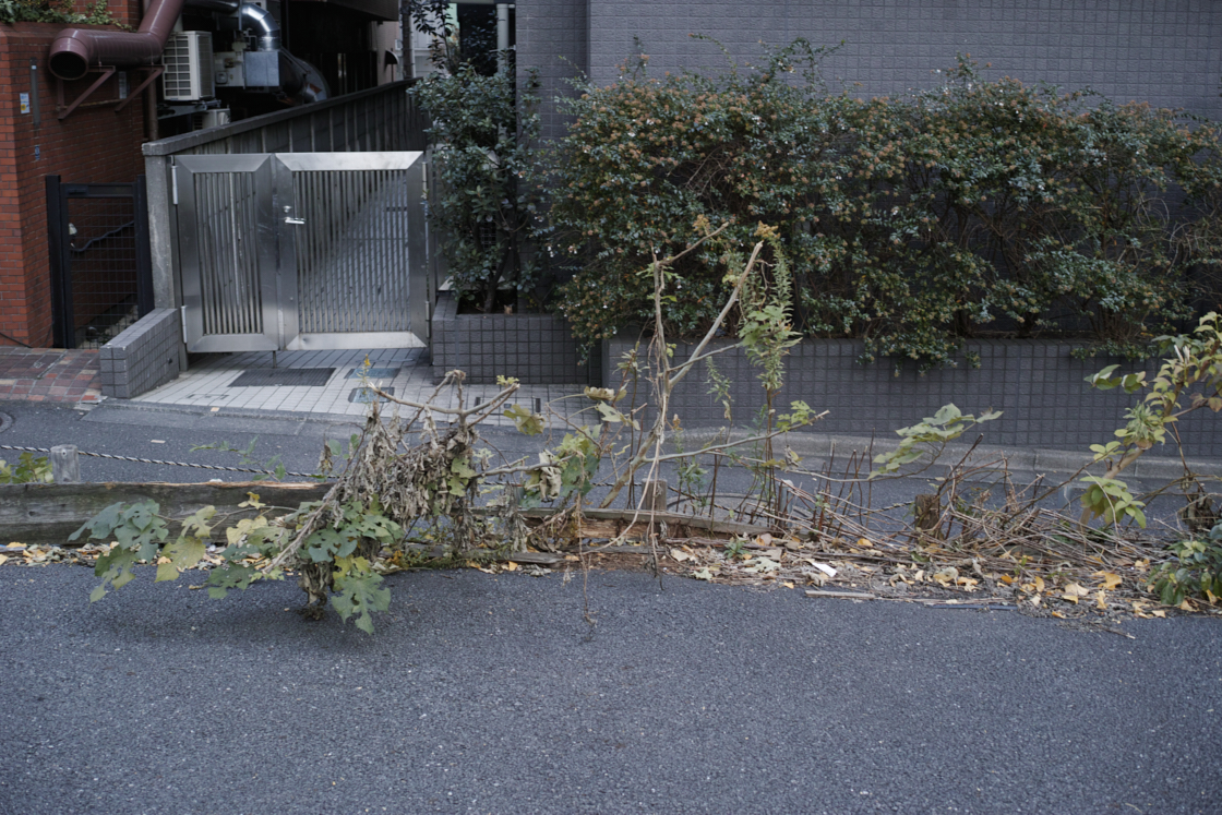 Kachidoki, Roppongi, Shinjuku_Img