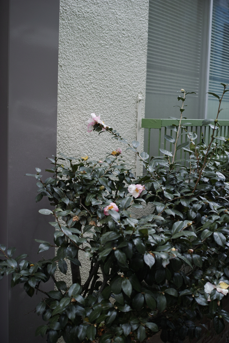 Nihonbashi, Kayabacho_Img