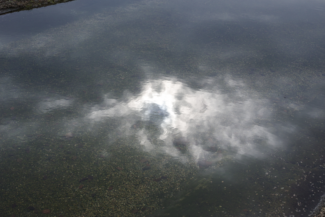 Shiraitodai, Inadazutsumi, Chofu_Img