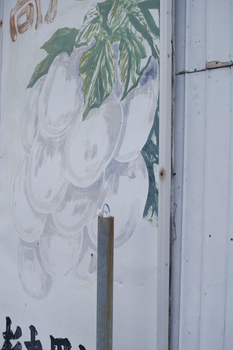 Shiraitodai, Inadazutsumi, Chofu_Img