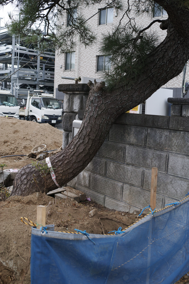 Shiraitodai, Inadazutsumi, Chofu_Img