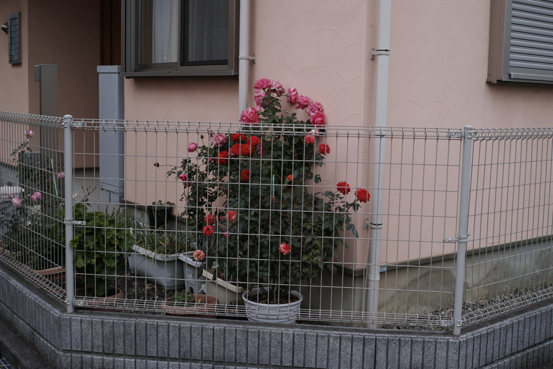 Shiraitodai, Inadazutsumi, Chofu_Img