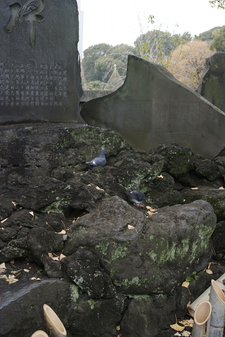 Mukojima, Hikifune, Tateishi, Shibuya_Img