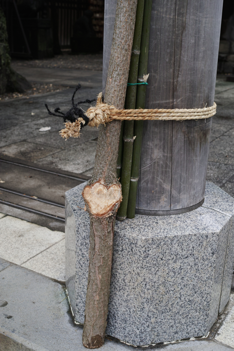 Mukojima, Hikifune, Tateishi, Shibuya_Img