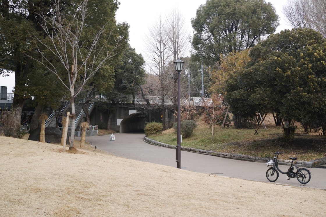 Mukojima, Hikifune, Tateishi, Shibuya_Img