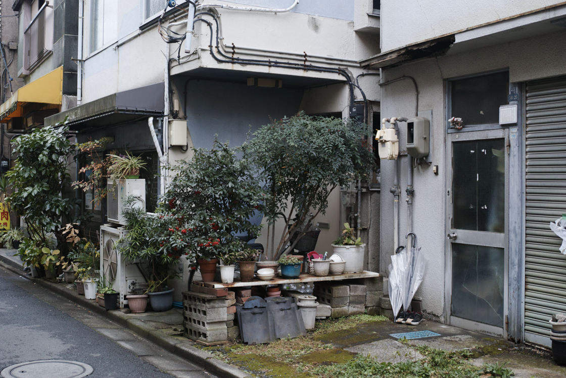 Mukojima, Hikifune, Tateishi, Shibuya_Img