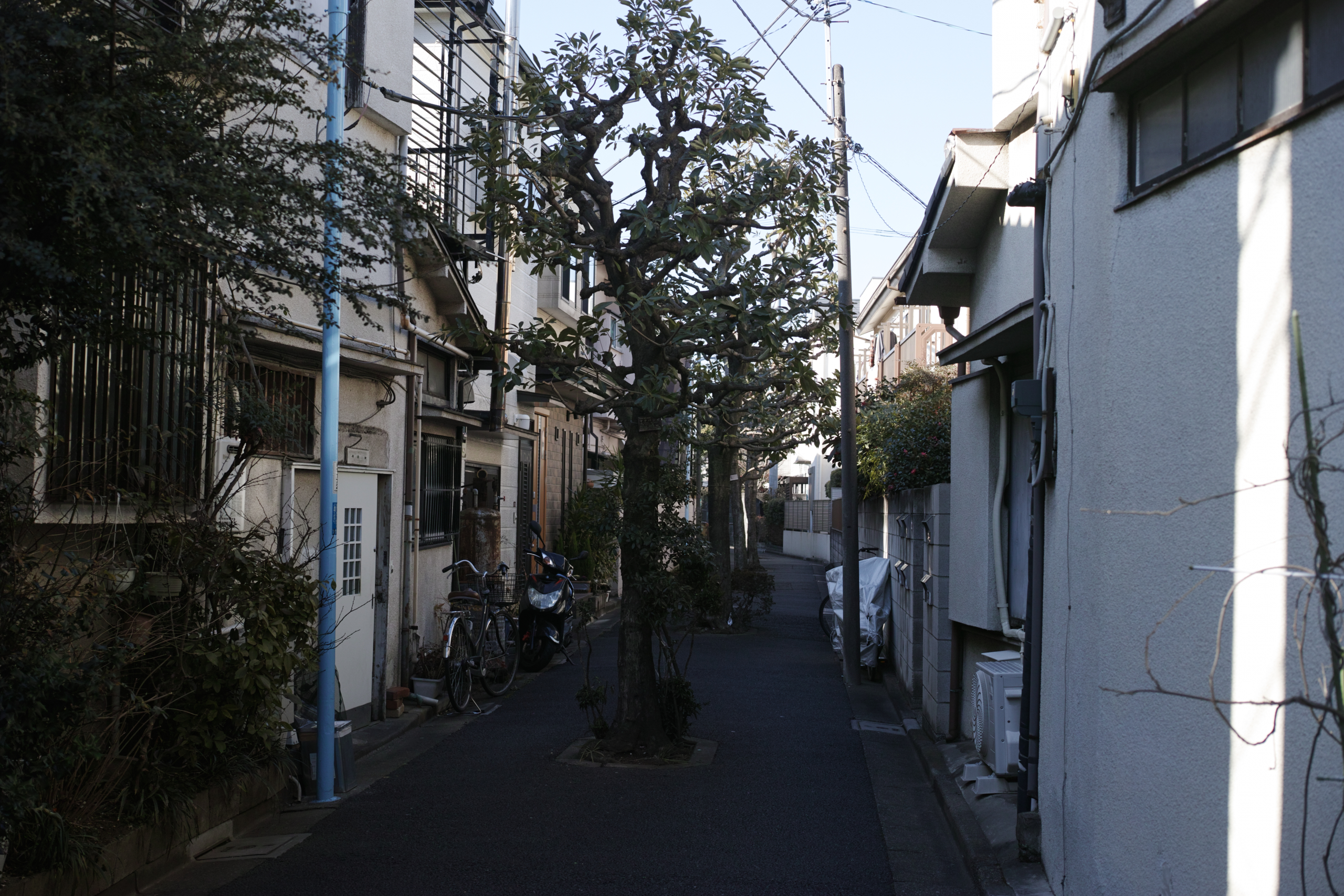 Asagaya, Waseda_Img