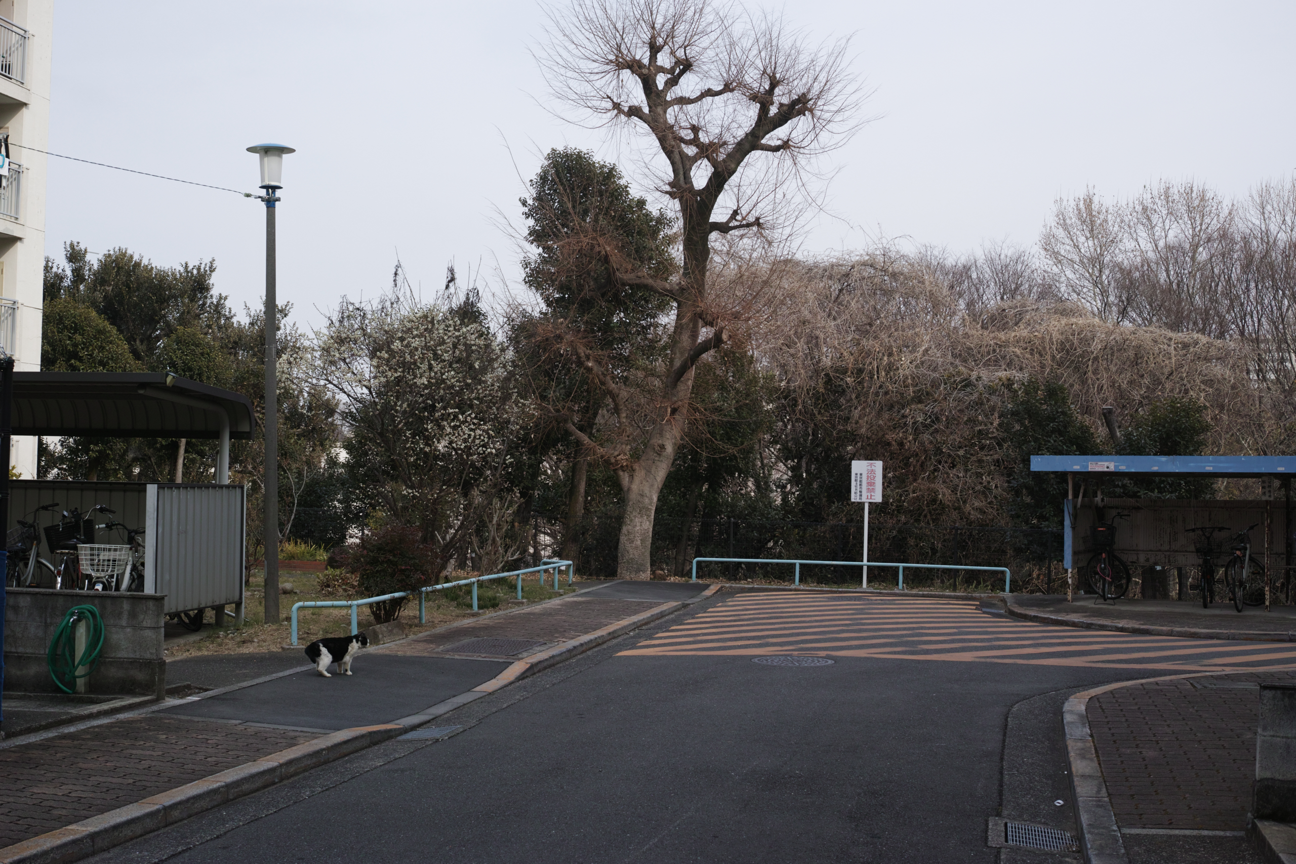 Asagaya, Waseda_Img