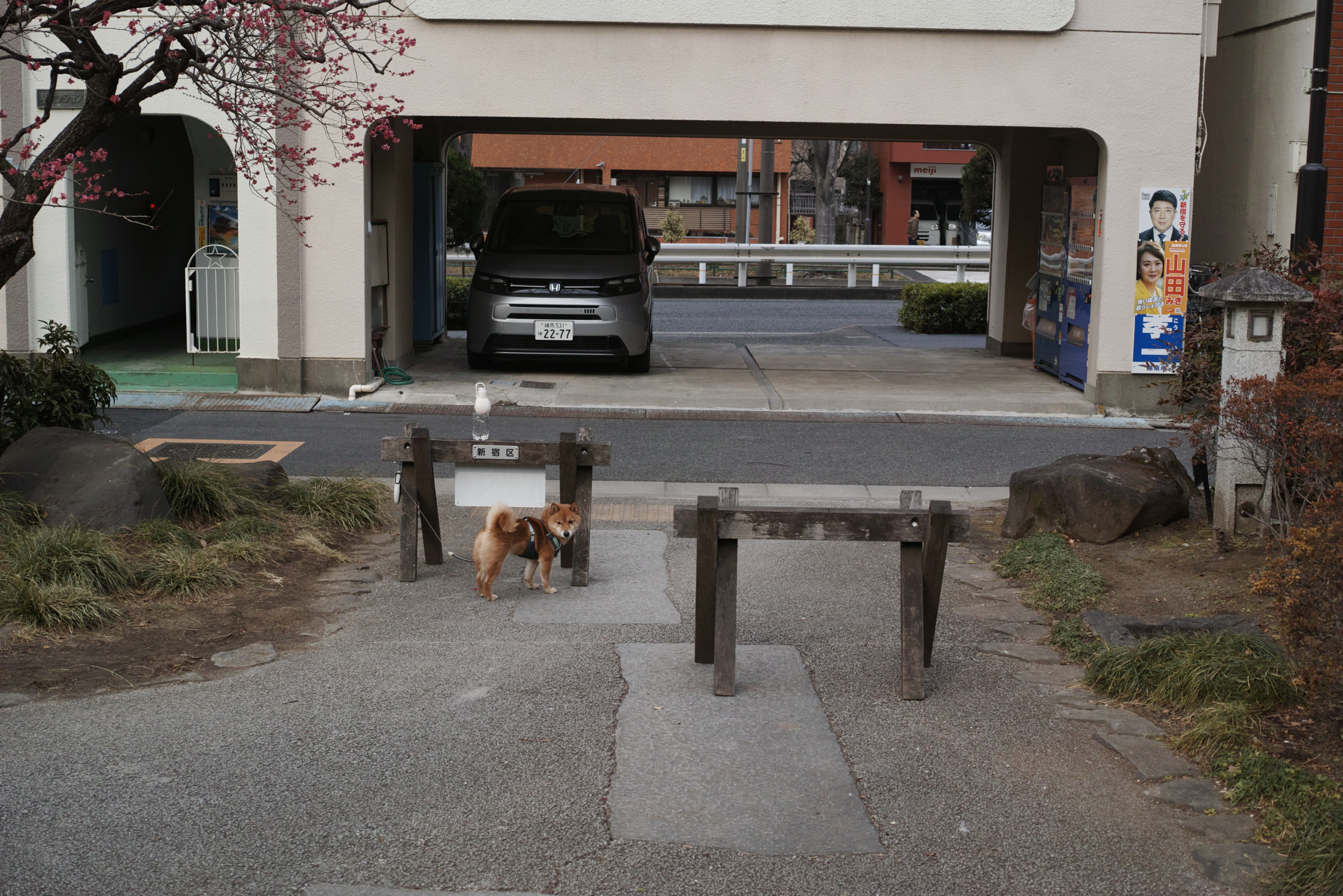 Asagaya, Waseda_Img
