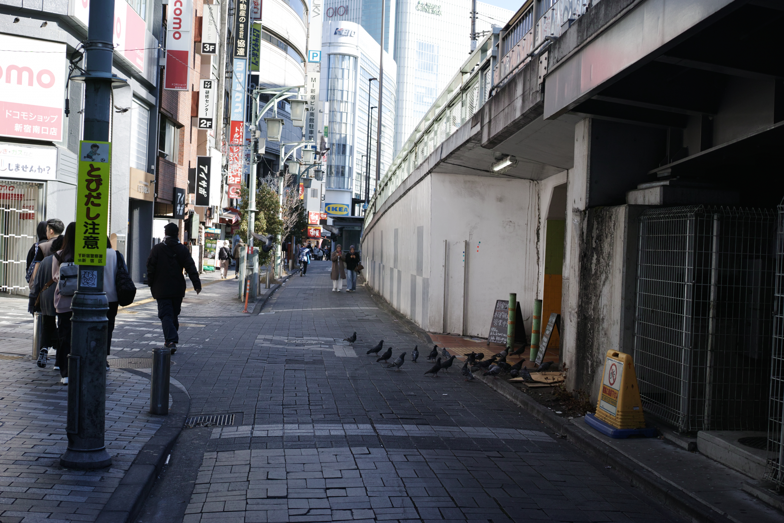 Shinjuku, Ueno, Nezu_Img