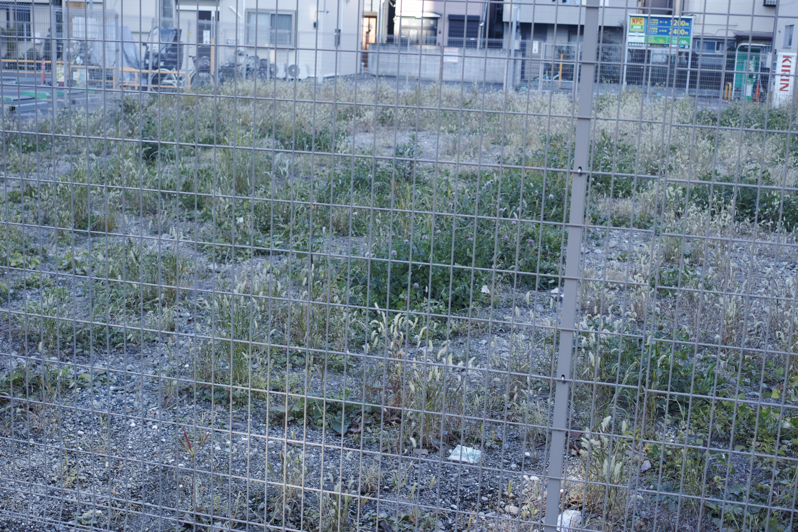 Shinjuku, Ueno, Nezu_Img