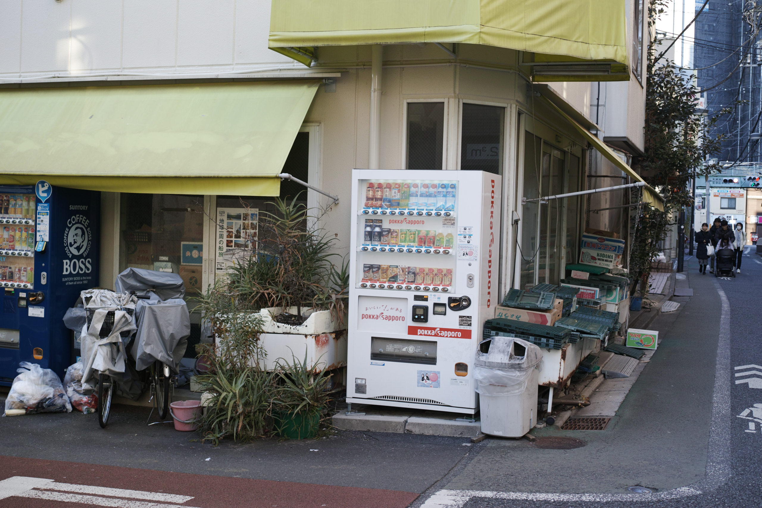 Shinjuku, Ueno, Nezu_Img